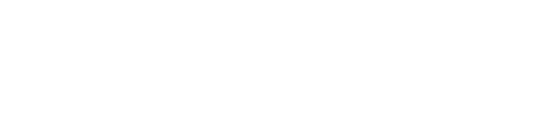 Magnelit